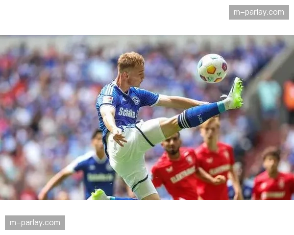 独家对话裁判丹尼尔·施拉格：谈在德甲执法面对的压力与进步